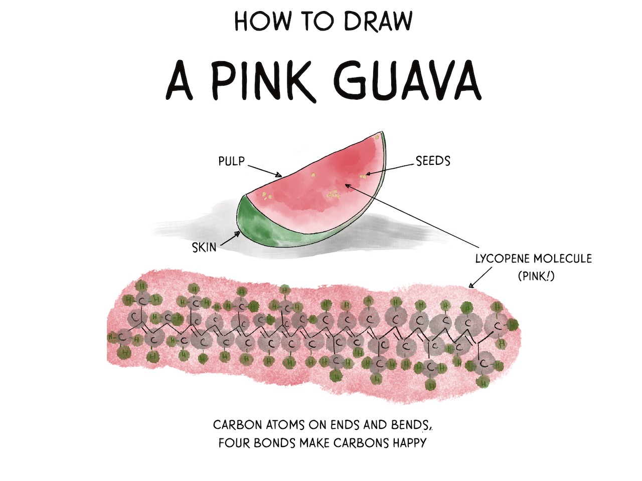 image from How to draw a pink guava