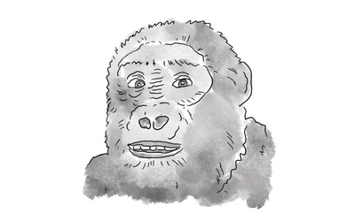 image from Early Man
